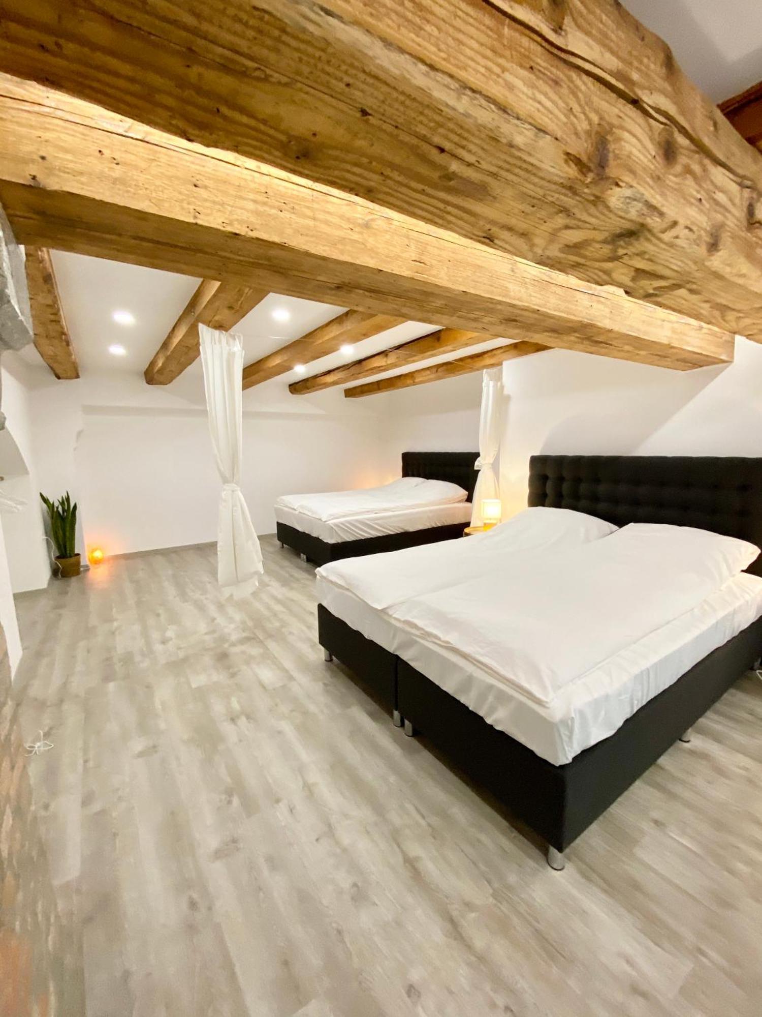 Jungle Loft - Central/Free Parking Ljubljana Buitenkant foto